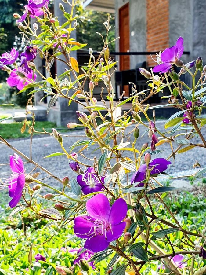 צ'ום טונג B-Tel Chomthong Resort Chiang Mai מראה חיצוני תמונה